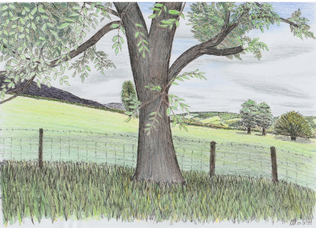 Black Mountains – Lower&nbsp;Slopes