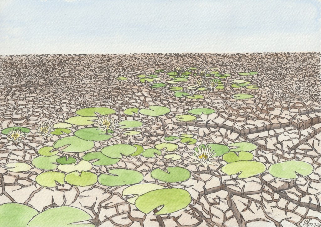 Surviving a Drought?