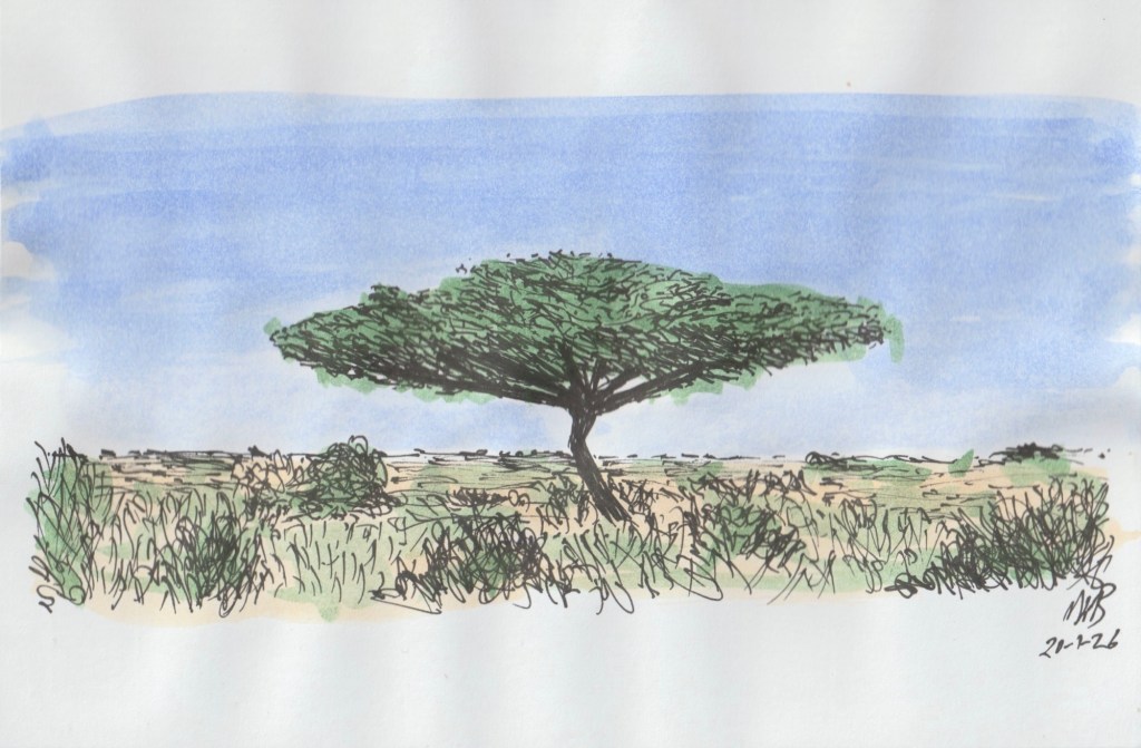 All Flat &&nbsp;Wide