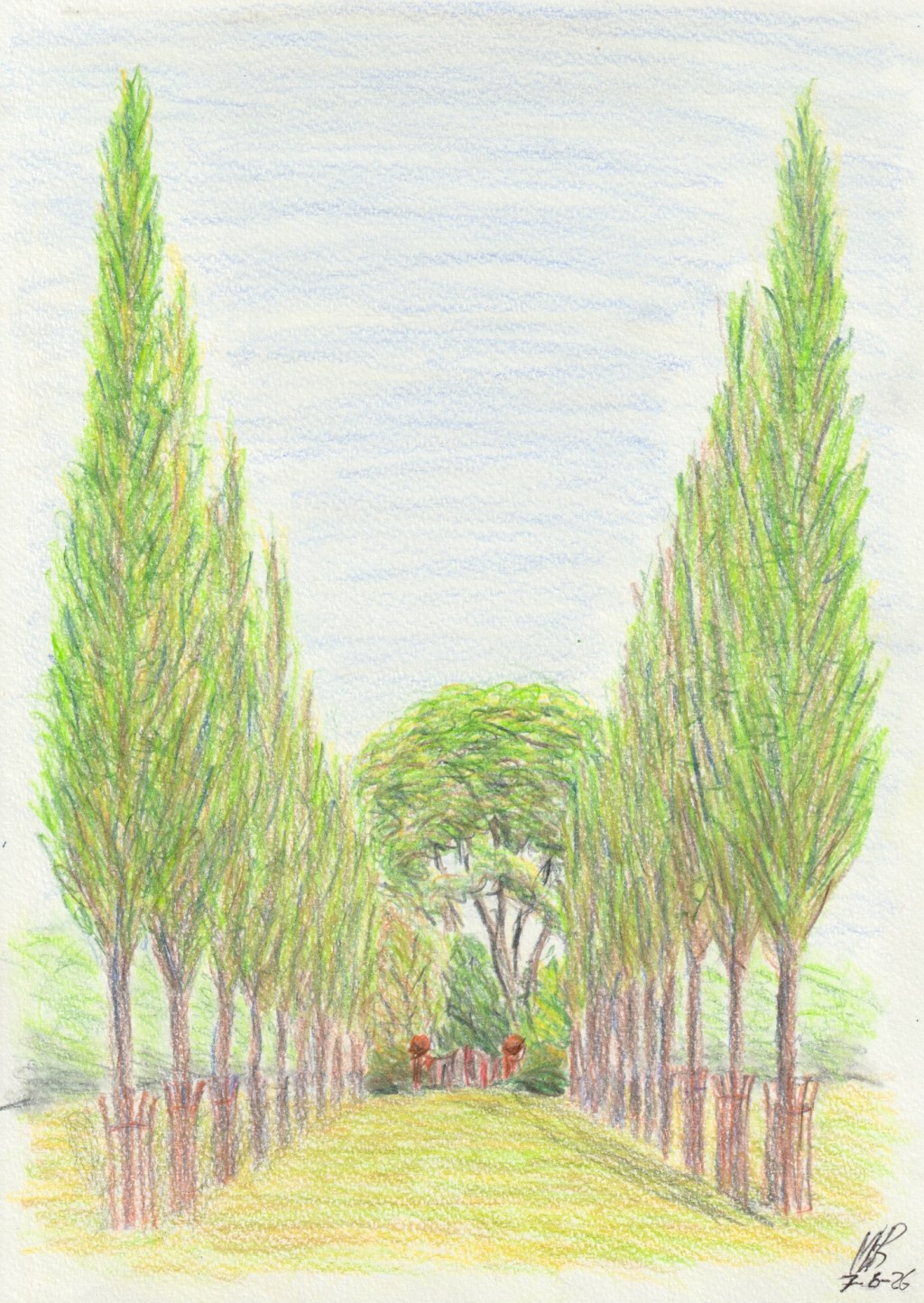 Avenue of Trees&nbsp;II